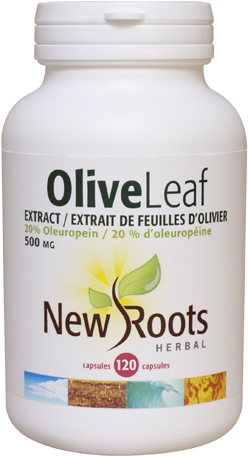 olive-leaf-extract-500mg-120c id 18140